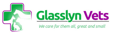 Glasslyn Vets